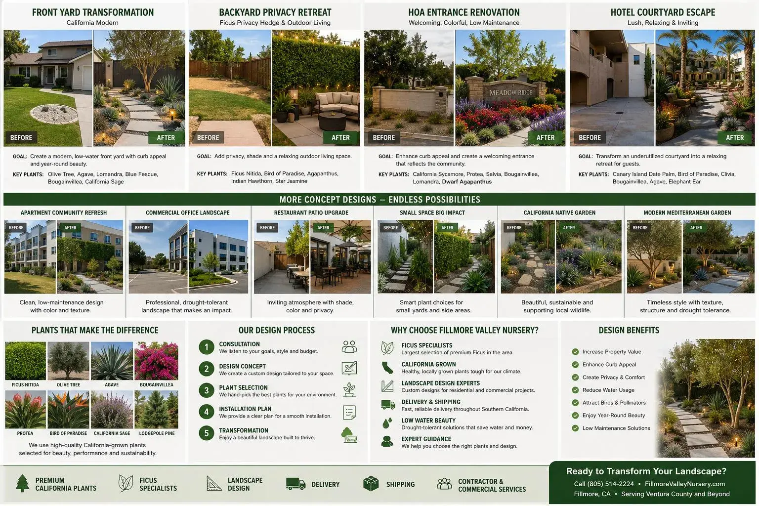 Fillmore Valley Nursery tri-fold brochure preview